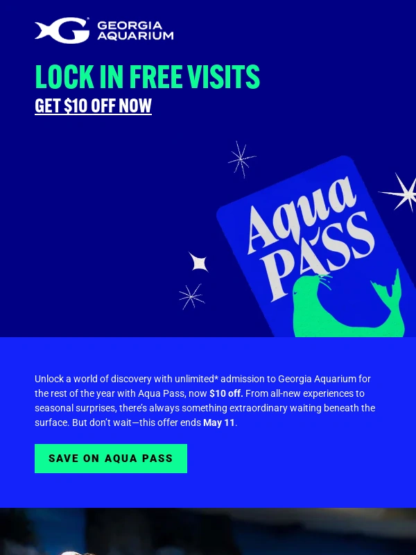 Georgia Aquarium - ✨ Save Now,Visit All Year