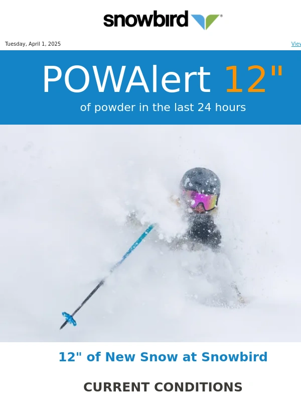Snowbird - Powder Alert
