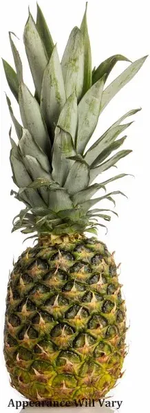 Fresh Pineapple