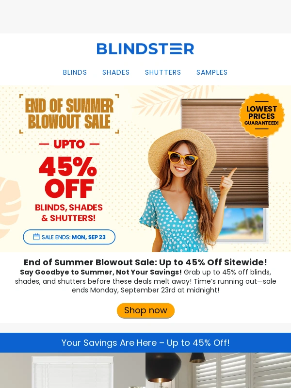 Blindster - ? Saturday Special: 45% Off Ends Soon!