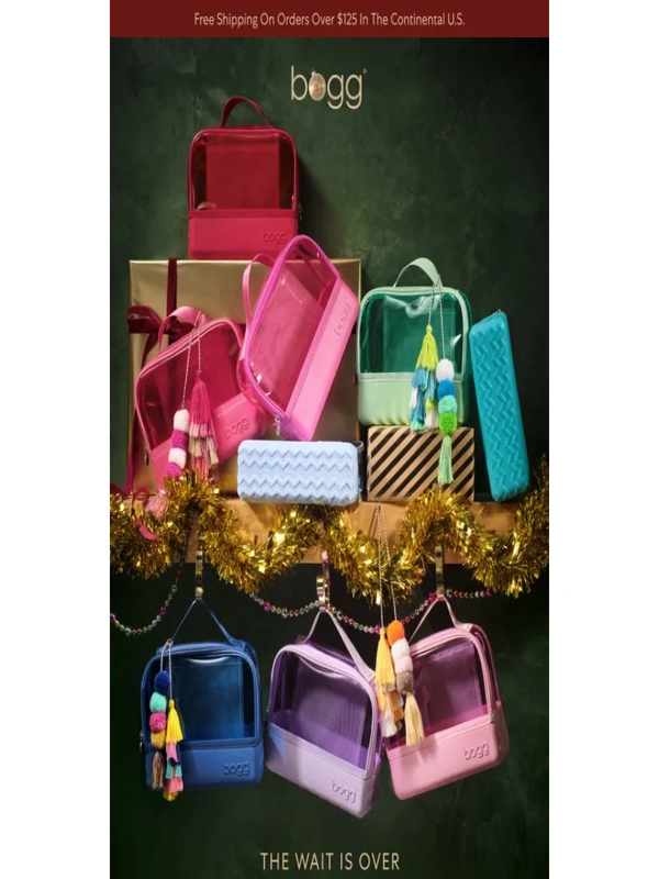 Bogg Bag - Organizational Accessories Are Here!