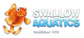 Swallow Aquatics