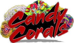 Candy Corals