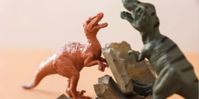 Collectibles