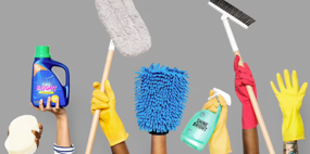 Domestic Services