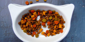 Pet Food