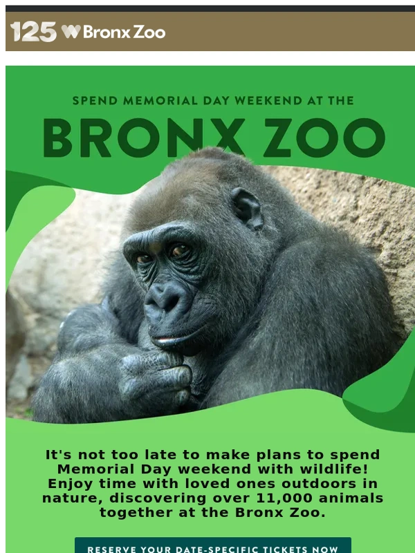 Bronx Zoo - Spend Memorial Day at the Bronx Zoo