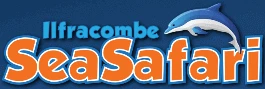 eBay Coupon