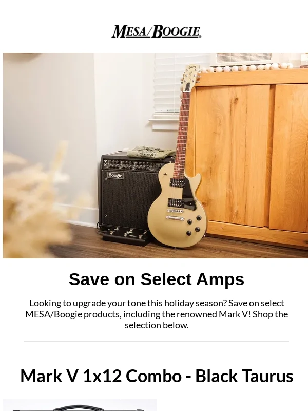 Mesa Boogie - Save on Select Amps