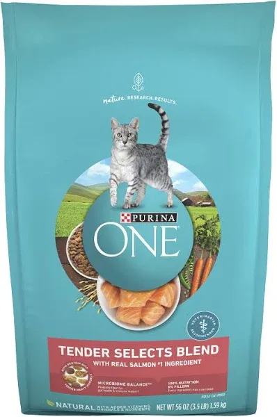 Purina ONE Tender Selects Blend with Real Salmon Dry Cat Food
