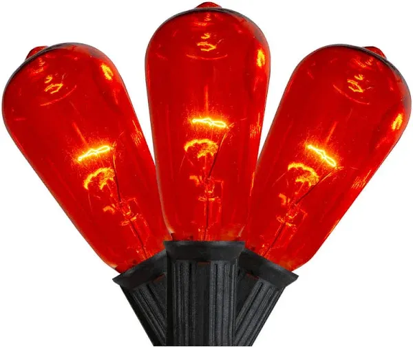 Northlight Edison E17 Halloween Light Set
