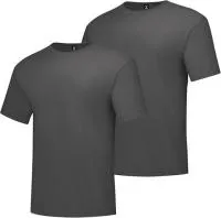 Hanes Mens Short Sleeve Beefy T-Shirt 2 Pack