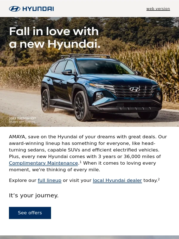 Hyundai - Get 3 Years Complimentary Maintenance