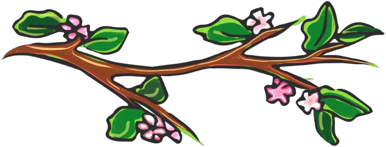Fruitwood Nursery