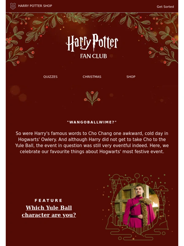 Harry Potter Shop - "WANGOBALLWIME?" ?