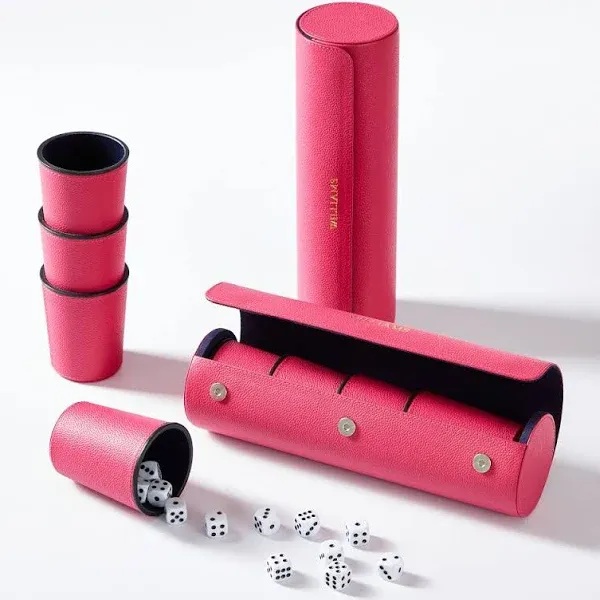 Liar's Dice Game Set
