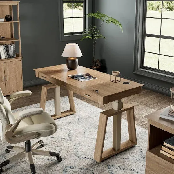 Eureka Ergonomic Ark EL Executive Standing Desk