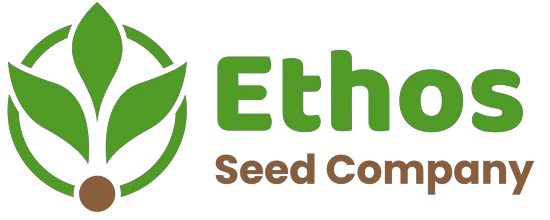 eBay Coupon
