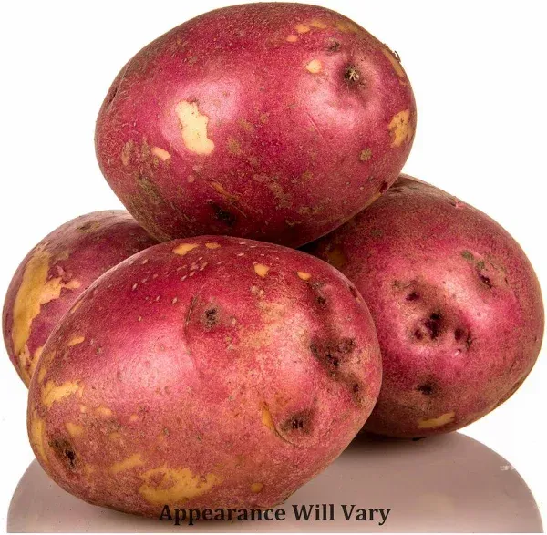 Azure Market Organic Red Potatoes