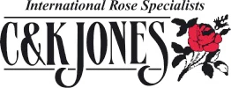 Jones The Rose