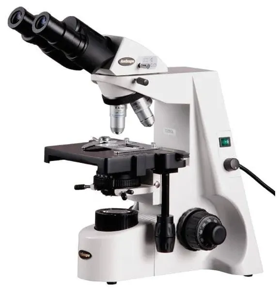 AmScope B690 Series Binocular Compound Microscope