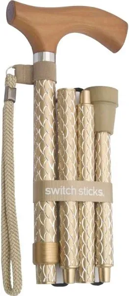 Switch Sticks Folding Cane Berlin Print