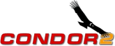 Condor Soaring