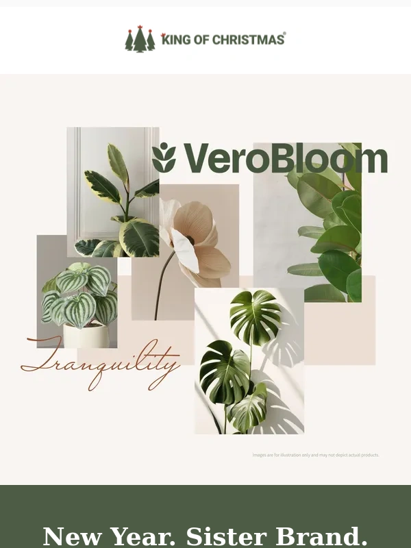 king of christmas -  VeroBloom ?