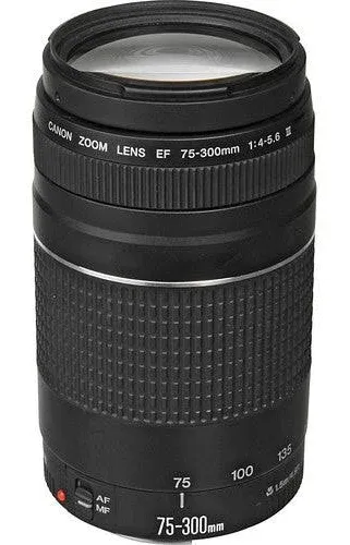 Canon 75-300mm f/4-5.6 EF III Lens