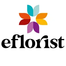 eBay Coupon