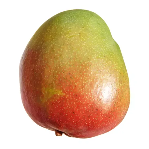 Fresh Mangoes