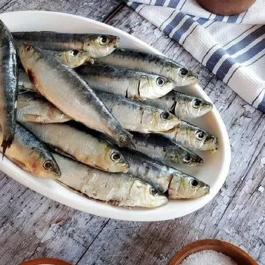 Portuguese Wild Whole Sardines Fresh Flash-Frozen