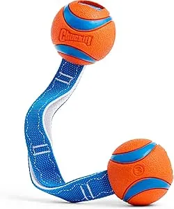 Chuckit! Ultra Duo Tug Dog Toy