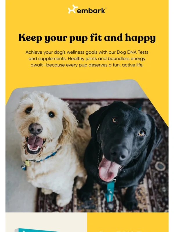 Embark - Give your dog the care they deserve