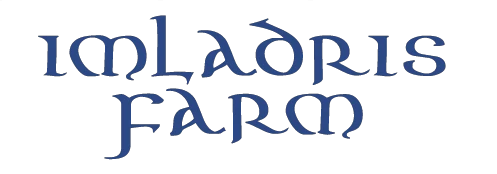 eBay Coupon
