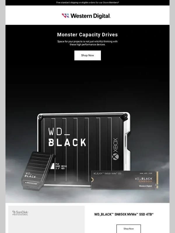 Western Digital_old - Monster drives at thrilling prices ?