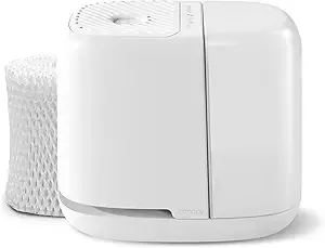 Canopy Bedside Humidifier 2.0