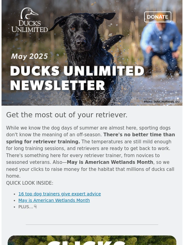 Keepa - DU Newsletter: Something New Is Taking Off