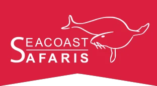 Seacoast Safaris