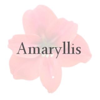 Amaryllis Apparel