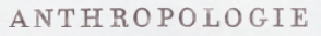 Anthropologie