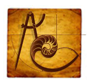 Antico Elements