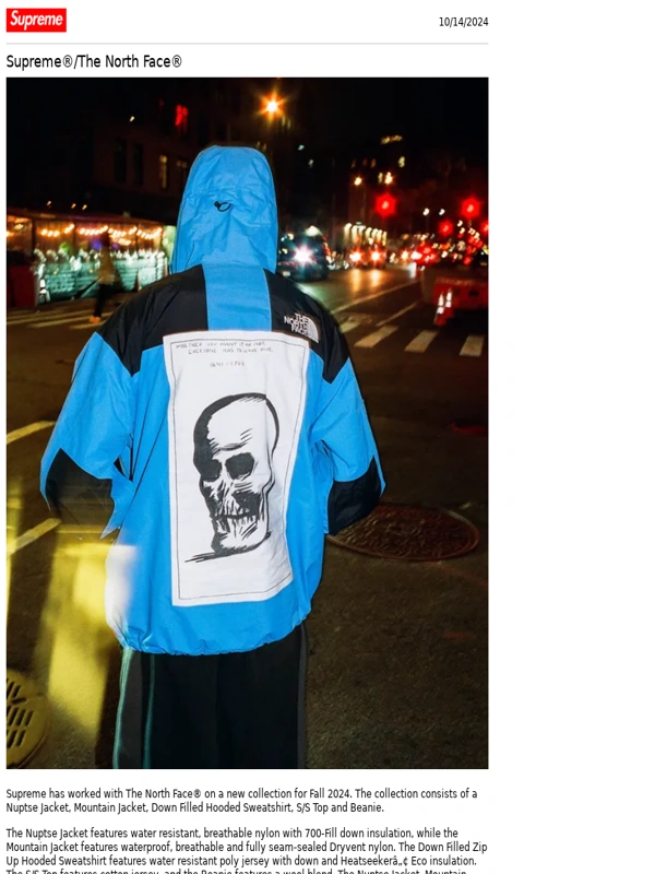 Supreme - Supreme®/The North Face®