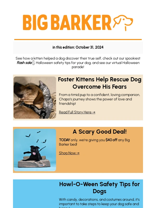 Big Barker - Foster Kitten Helps Rescue Dog Overcome His Fears ?‍⬛