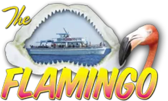 Flamingo Fishing