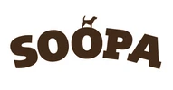 eBay Coupon
