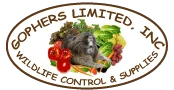 Gophers Limited