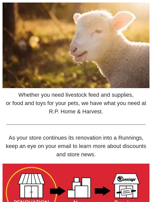Runnings - We're here for your livestock needs