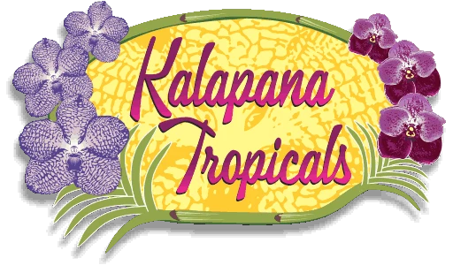 Kalapana Tropicals