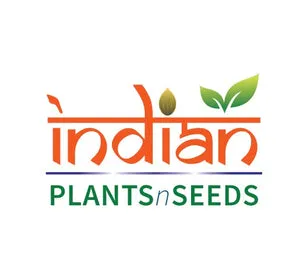 Indian PlantsNSeeds